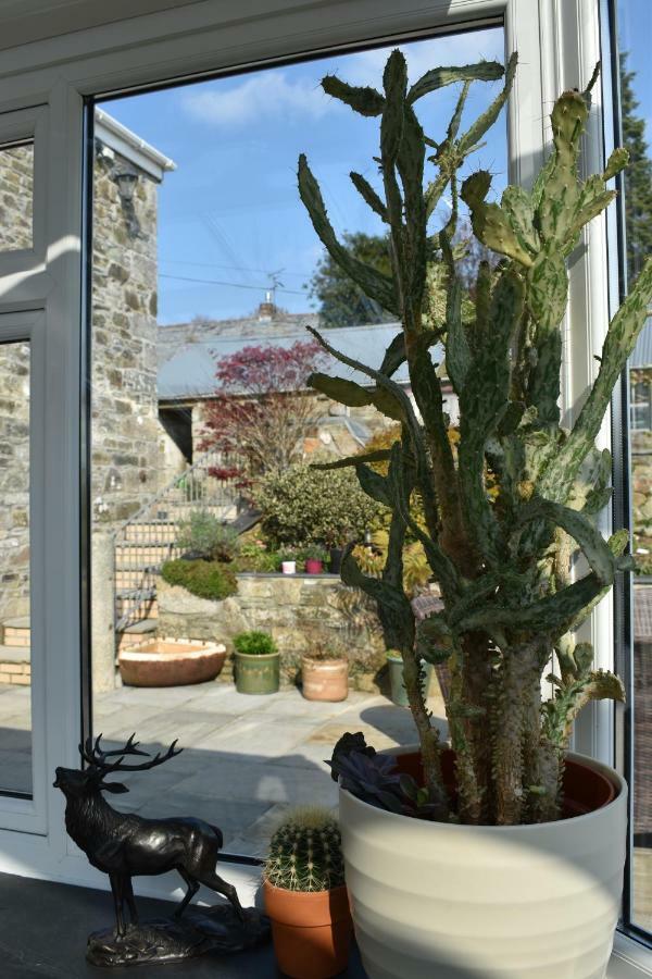 Treveighan Farmhouse Saint Teath Extérieur photo