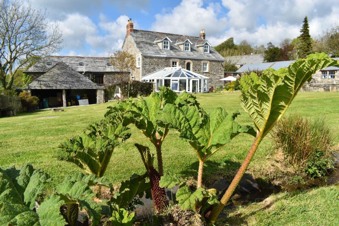 Treveighan Farmhouse Saint Teath Extérieur photo
